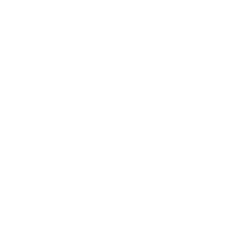 US Department of Homeland Security